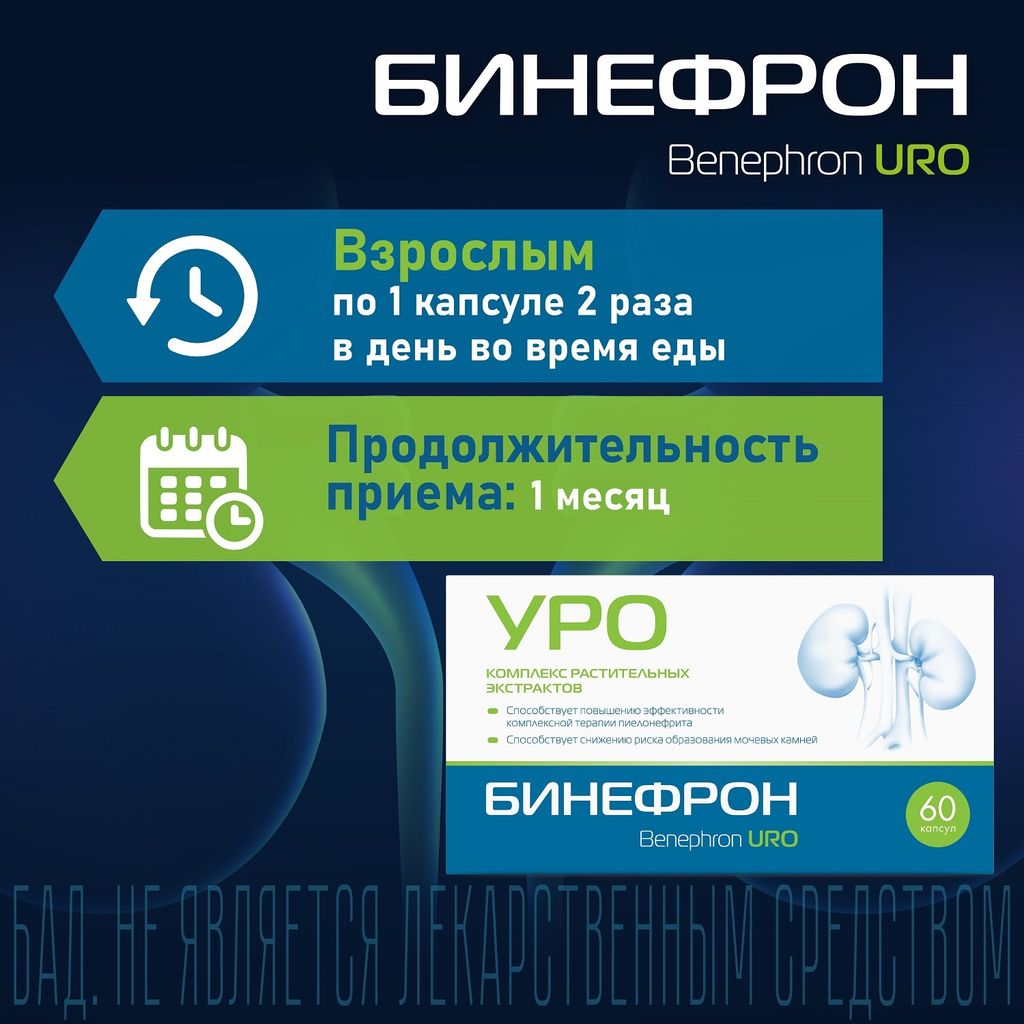 Бинефрон Уро, 460 мг, капсулы, 60 шт.